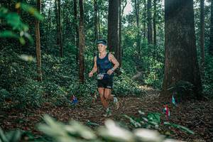 BIB: 
                            <button type="button" onclick="openModal(26066420)" class="btn btn-primary btn-sm float-right btn-popup" data-toggle="modal" data-target=".modal-high-quality">
                        <i class="fas fa-shopping-cart"></i> Add to Cart
                    </button>
                                            <button type="button" onclick="isThisMe(26066420, true)" class="btn btn-success btn-sm float-right btn-popup btn-isme hidden" data-toggle="tooltip" data-placement="bottom" title="นี่คือรูปของคุณใช่ไหม คลิกที่นี่เพื่อเอาเข้าอัลบั้ม">
                        <i class="fas fa-plus"></i> Add to album
                    </button>
                    <button type="button" onclick="isThisMe(26066420, false)" class="btn btn-warning btn-sm float-right btn-popup btn-isnotme hidden">
                        <i class="fas fa-ban"></i> Remove from album
                    </button>